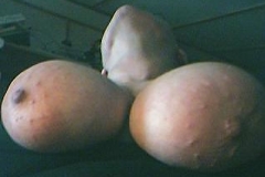 busen-cam1_